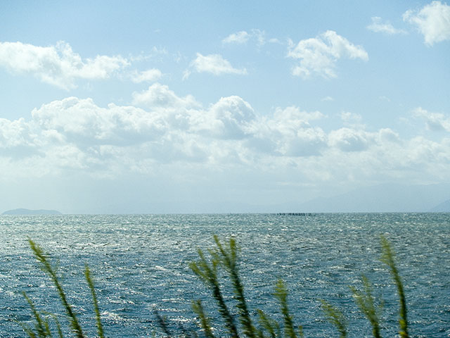 Pa08181920061008 Pa08181920061008
