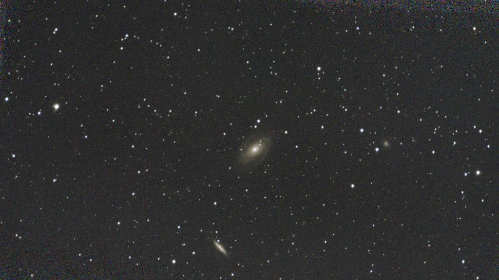M 81